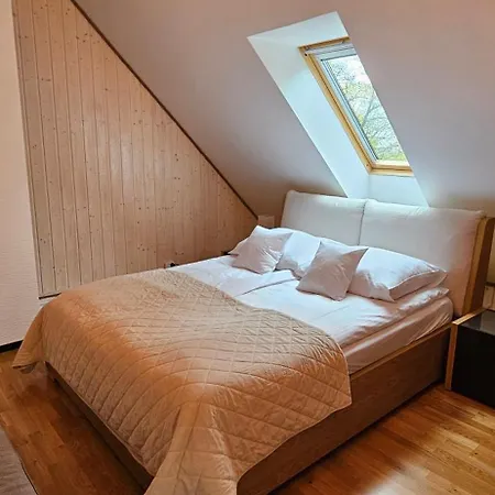 Apartment Typu Penthouse Dwupoziomowy Z Wanna, Tarasem Oraz Pieknymi Widokami Na Gory Schreiberhau